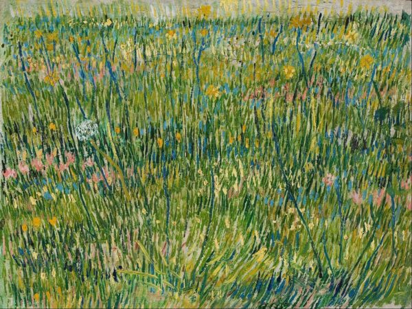 Grasfleck – Van Gogh Vincent Van Gogh 2024-11-20