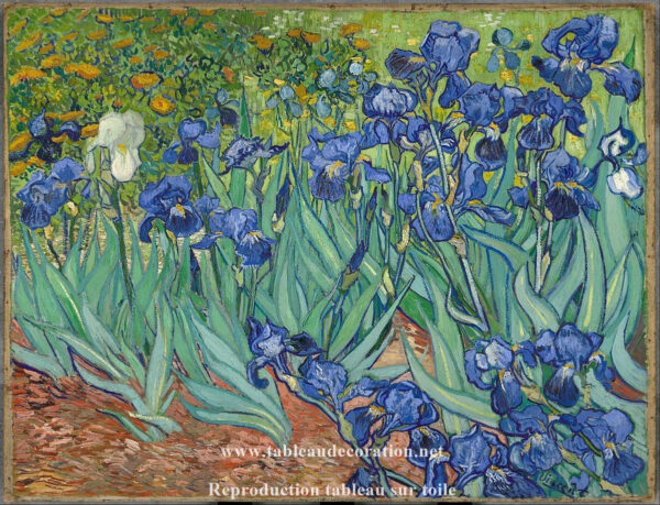 Die Iris – Van Gogh Beliebte Bilder 2024-11-21