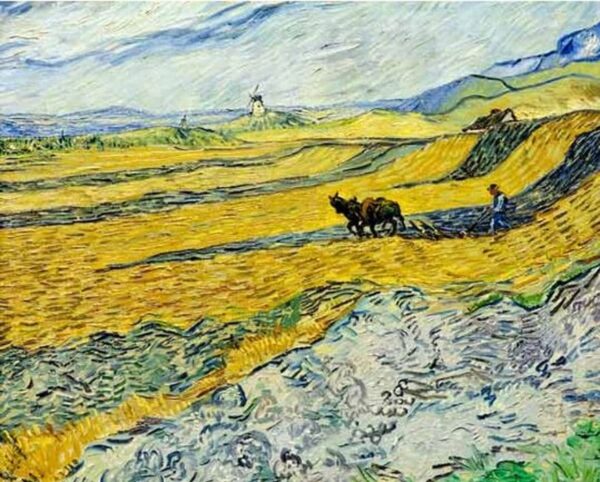 Feld mit pflügendem Bauern und Mühle – Van Gogh Vincent Van Gogh 2024-11-20