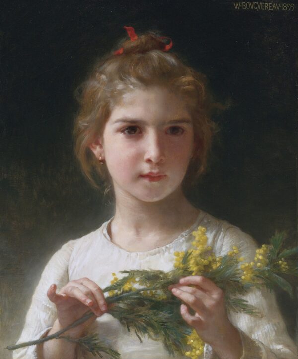 Mimose – William Bouguereau William Adolphe Bouguereau 2024-11-21