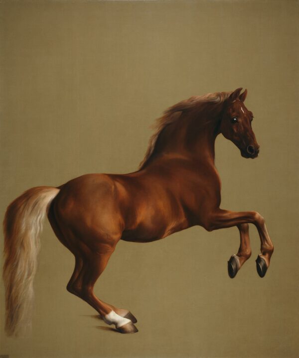 Whistlejacket – George Stubbs George Stubbs 2024-11-21