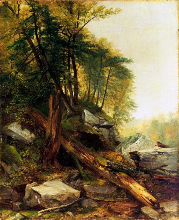 Kaaterskill Landschaft – Asher Brown Durand Asher Brown Durand 2024-12-22