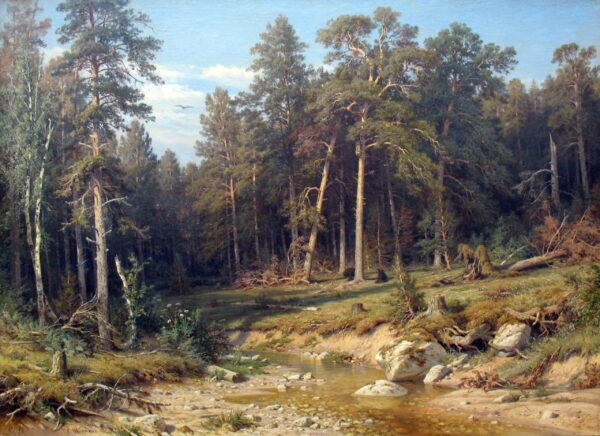 Ein Kiefernwald. Mastenwald in der Provinz Viatka – Ivan Shishkin Iwan Iwanowitsch Schischkin 2024-11-21