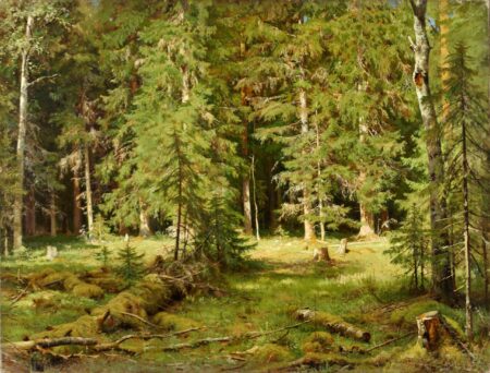 Anagorie des Waldes – Ivan Shishkin Iwan Iwanowitsch Schischkin 2024-12-30