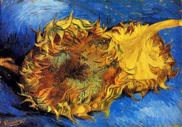 Zwei abgeschnittene Sonnenblumen – Van Gogh Sonnenblumen-Serie von Vincent van Gogh 2024-11-21