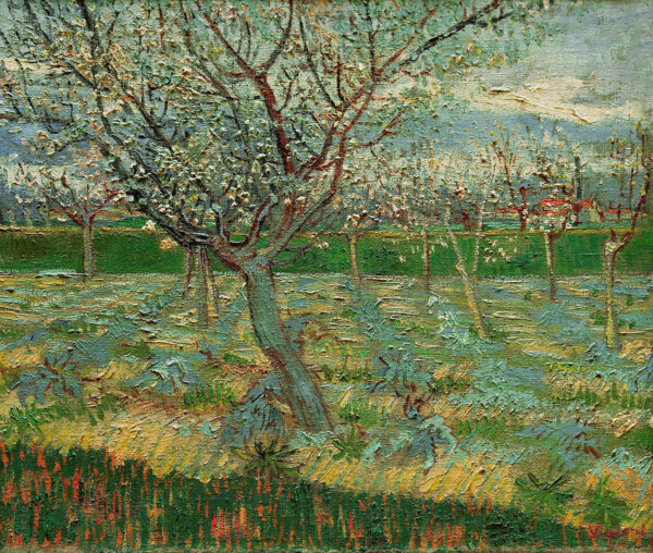 Obstgarten in Blüte – Van Gogh Vincent Van Gogh 2024-11-20