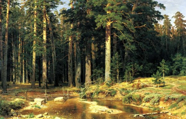 Wald des Mastbaums – Ivan Shishkin Iwan Iwanowitsch Schischkin 2024-11-21