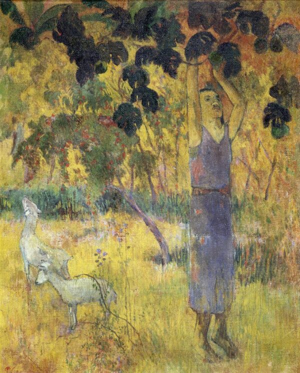 Mann, der Früchte von einem Baum pflückt – Paul Gauguin Paul Gauguin 2024-11-21