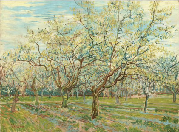 Der weiße Obstgarten – Van Gogh Vincent Van Gogh 2024-11-20