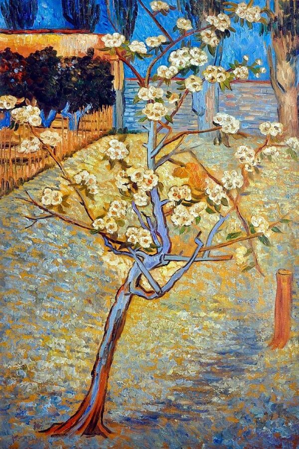 Poirier in Blüte – Van Gogh Vincent Van Gogh 2024-11-20