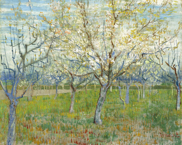 Der rosafarbene Obstgarten – Van Gogh Vincent Van Gogh 2024-11-20