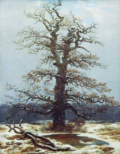 Eiche im Schnee – Caspar David Friedrich Caspar David Friedrich 2024-09-20