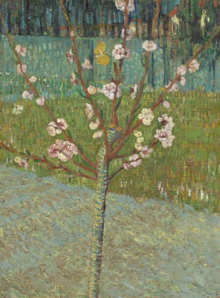 Amandier in Blüte – Van Gogh Vincent Van Gogh 2024-12-30