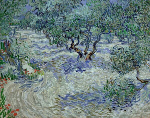 Olivenhain – Van Gogh Vincent Van Gogh 2024-11-20