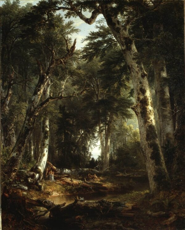 Im Wald, 1855 – Asher Brown Durand Asher Brown Durand 2024-12-22