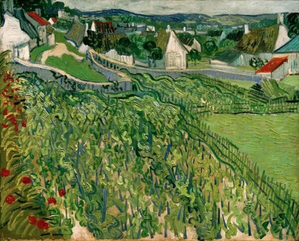 Weinberge von Auvers – Van Gogh Vincent Van Gogh 2024-11-21