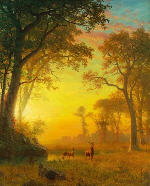 Licht im Wald – Albert Bierstadt Albert Bierstadt 2024-11-21