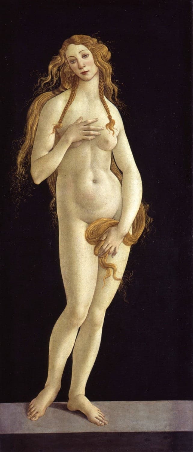 Botticelli (Atelier), Geburt der Venus – Sandro Botticelli Sandro Botticelli 2024-09-19