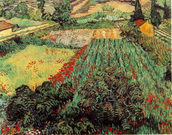 Feld mit Mohnblumen – Van Gogh Vincent Van Gogh 2024-11-20