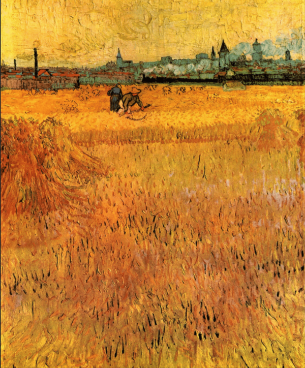 Weizenfeld in Arles – Van Gogh Vincent Van Gogh 2024-11-21