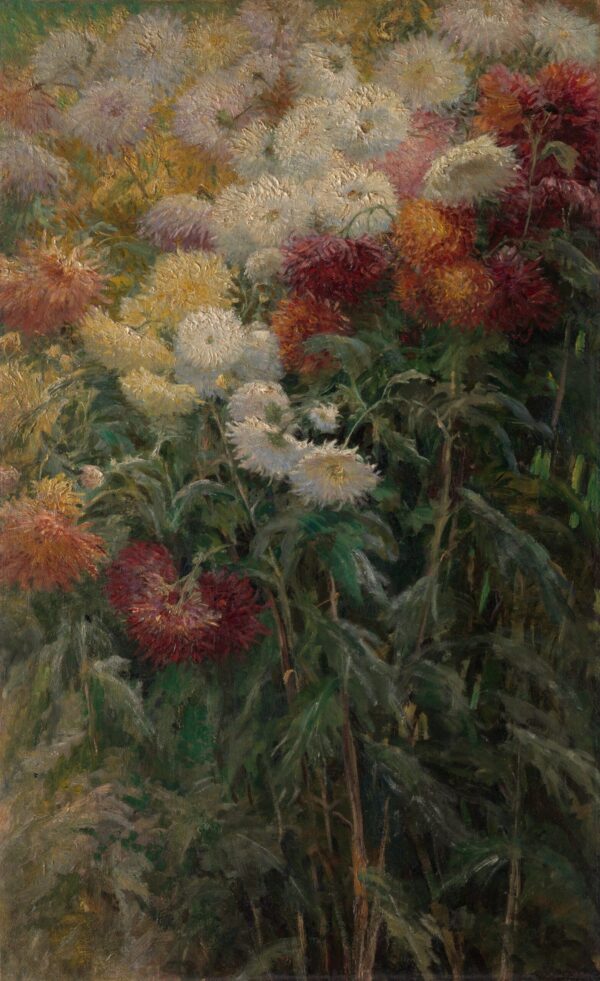 Chrysanthemen im Garten von Petit Gennevilliers – Caillebotte Gustave Caillebotte 2024-11-21