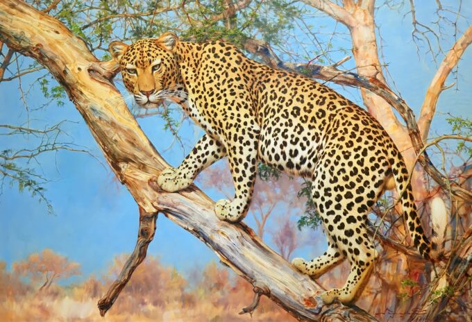 Leopard in einem Baum – 160 x 110 cm Die Kunstgalerie 2024-09-19