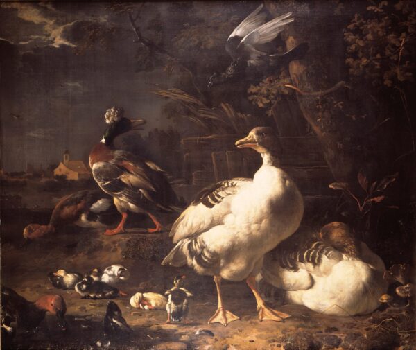 Gänse und Enten – Melchior d’Hondecoeter Melchior de Hondecoeter 2025-01-02