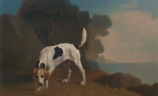 Foxhound – George Stubbs George Stubbs 2024-11-21