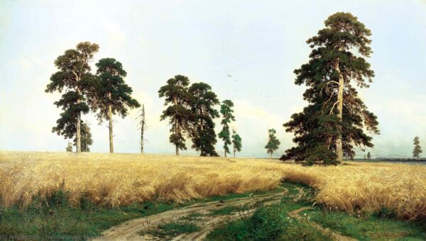 Ein Roggenfeld – Ivan Shishkin Iwan Iwanowitsch Schischkin 2024-11-21