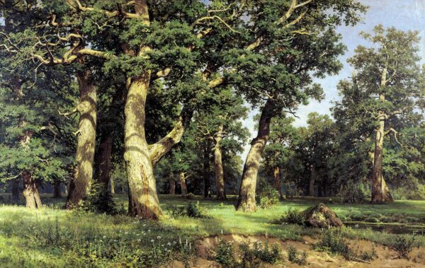 Eichenhain – Ivan Shishkin Iwan Iwanowitsch Schischkin 2024-11-21