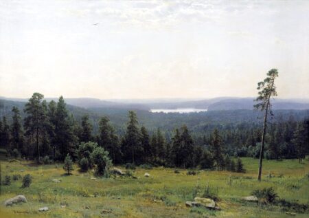 Der Wald aus der Ferne gesehen – Ivan Shishkin Iwan Iwanowitsch Schischkin 2024-12-30