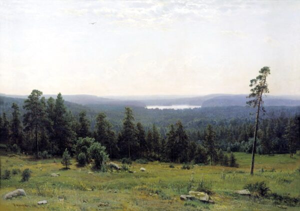 Der Wald aus der Ferne gesehen – Ivan Shishkin Iwan Iwanowitsch Schischkin 2024-11-21