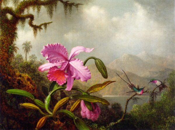 Orchideen und Kolibris – Martin Johnson Heade Martin Johnson Heade 2024-11-21