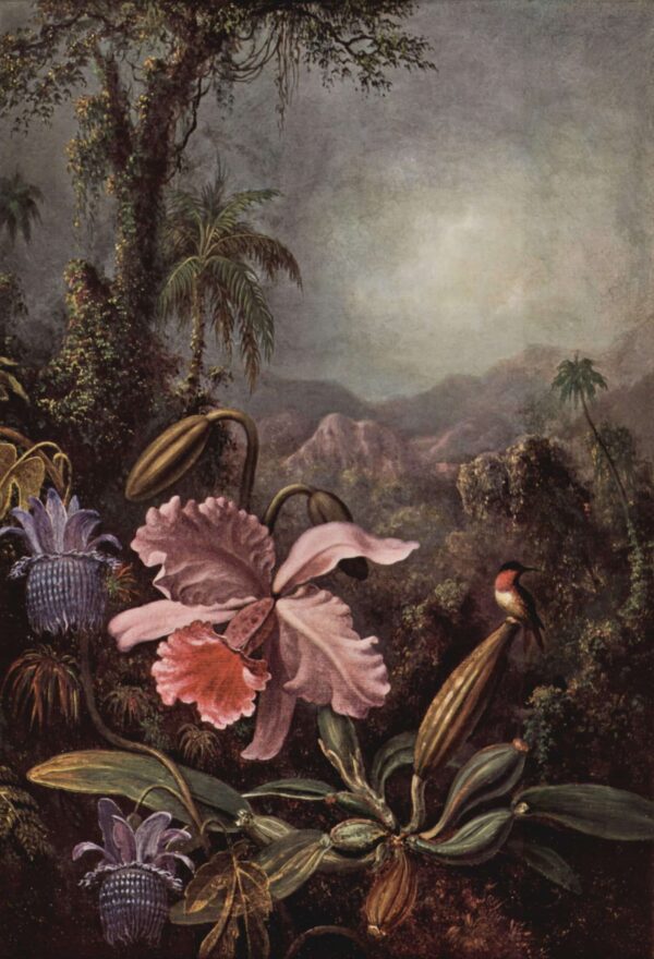 Orchidee, Passionsblume und Kolibri – Martin Johnson Heade Martin Johnson Heade 2024-11-21