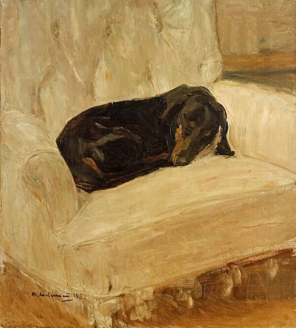 Schlafender Dackel in einem Sessel – Max Liebermann Max Liebermann 2024-11-21