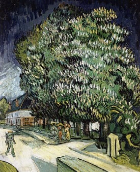 Blühende Kastanienbäume – Van Gogh Vincent Van Gogh 2024-11-20