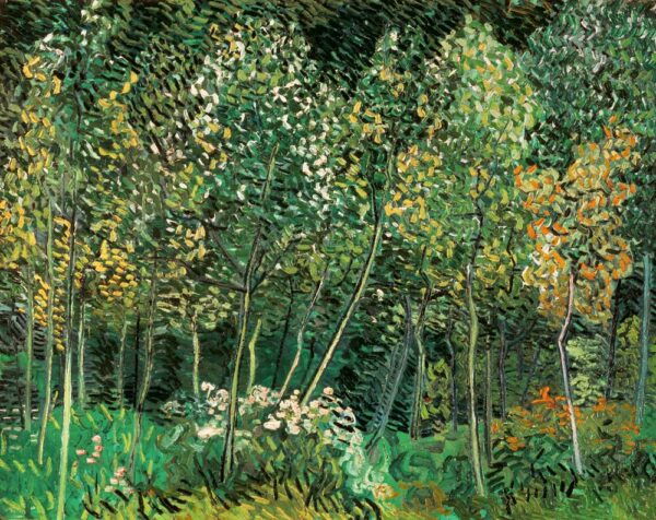 Kleine Wald – Van Gogh Vincent Van Gogh 2024-11-20