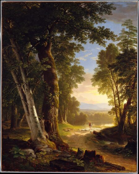 Die Buchen, 1845 – Asher Brown Durand Asher Brown Durand 2024-12-31