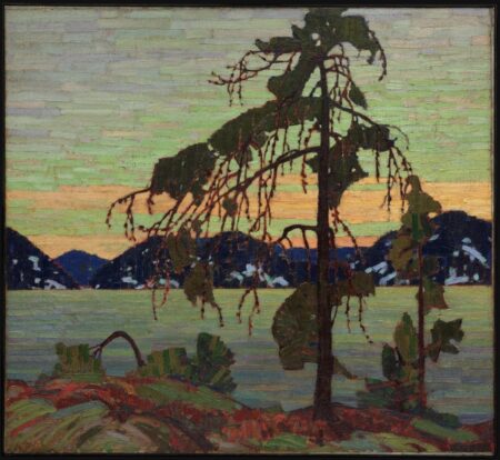 Der graue Kiefer – Tom Thomson Tom Thomson 2024-12-30