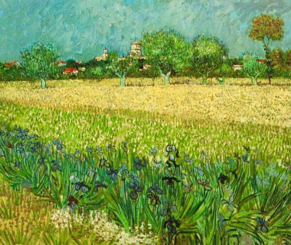 Blick auf Arles mit Iris – Van Gogh Vincent Van Gogh 2024-11-20