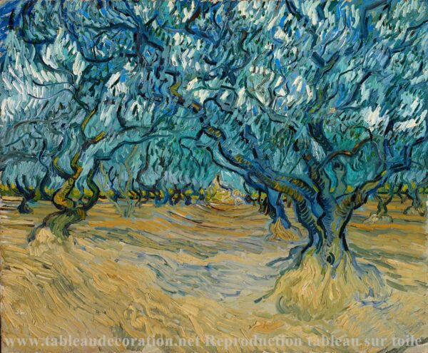 Das Olivenfeld – Van Gogh Vincent Van Gogh 2024-11-20