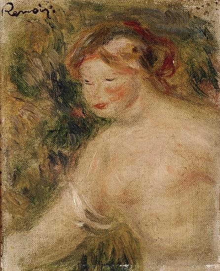 Ein Frauenoberkörper – Pierre-Auguste Renoir Pierre-Auguste Renoir 2024-12-30