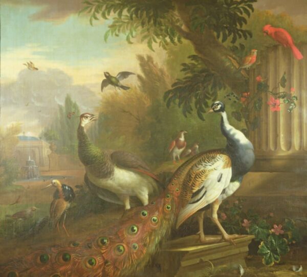 Pfau und Spatz mit einem roten Kardinal in einer klassischen Landschaft – Tobias Stranover Tobias Stranover 2024-12-30