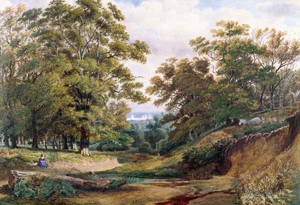 Eine Szene im Bagley Wald in der Nähe von Oxford – William Turner William Turner 2024-11-21