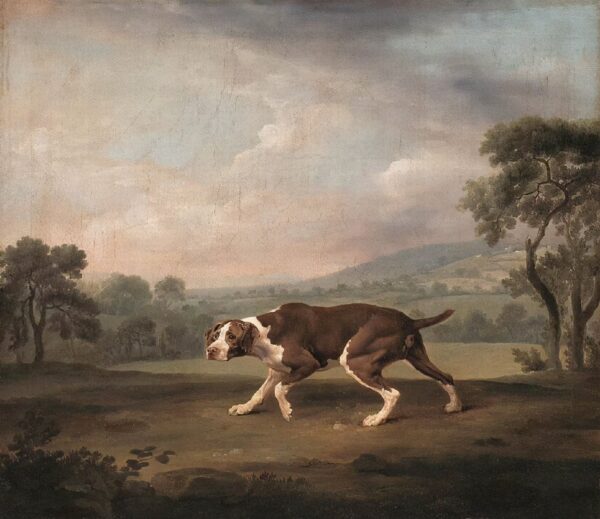 Spanischer Zeiger – George Stubbs George Stubbs 2024-11-21