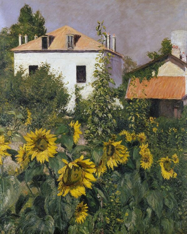 Sonnenblumen im Garten von Petit Gennevilliers – Caillebotte Gustave Caillebotte 2024-11-21