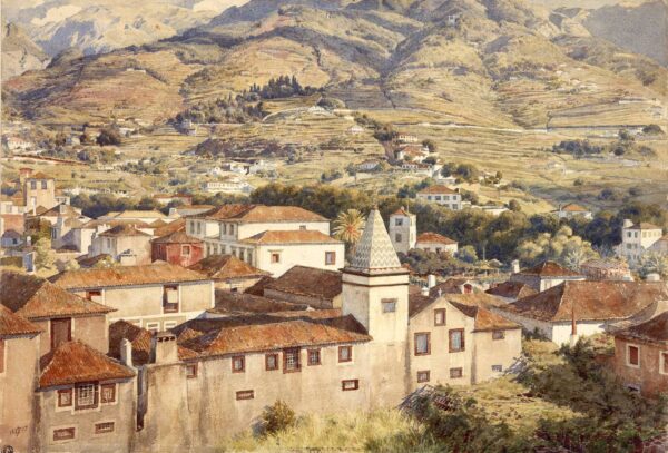 Funchal, Morgensonne – Edward Poynter Edward Poynter 2024-11-21