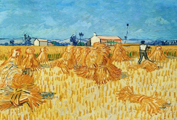 Ernte in der Provence – Van Gogh Vincent Van Gogh 2024-11-20