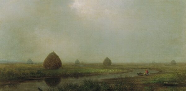 Marais de Jersey – Martin Johnson Heade Martin Johnson Heade 2024-11-21