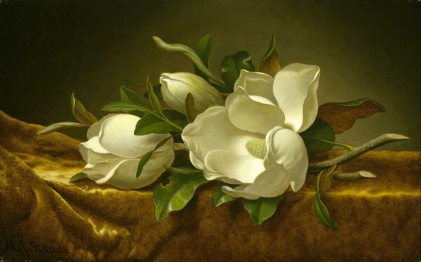 Magnolien auf goldenem Samtstoff – Martin Johnson Heade Martin Johnson Heade 2024-11-21